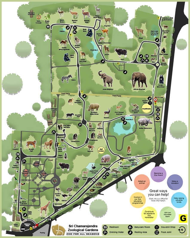 Mys Zoo MAP